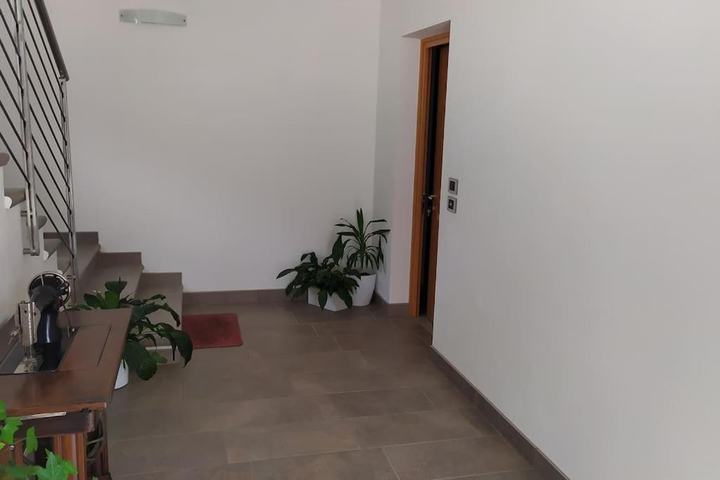 Casa Mirella Apartamento Vigolo Vattaro Exterior foto